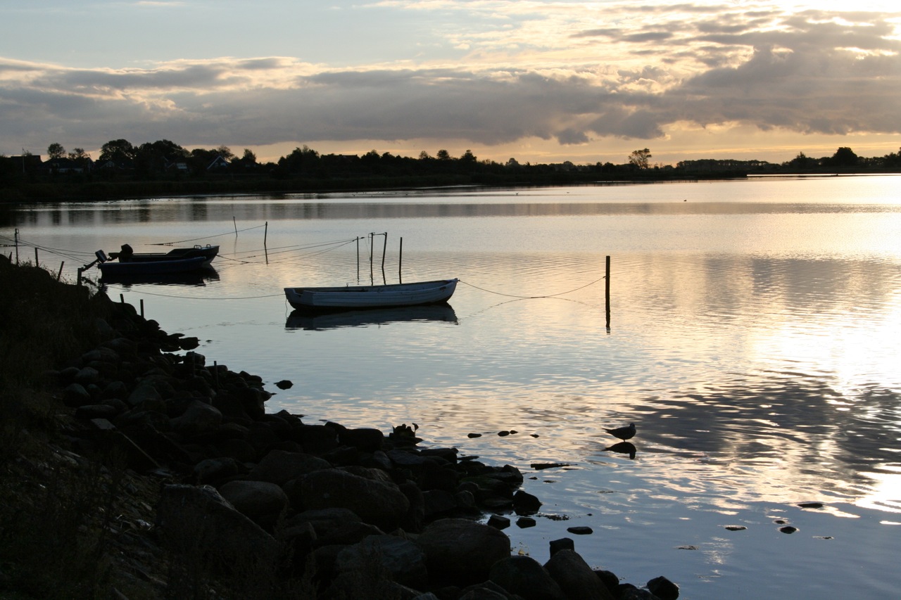 Picture 7